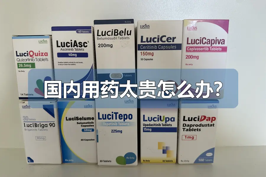 国内用药太贵怎么办?